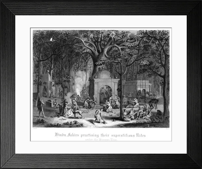 Framed Print : Hindu Fakirs Practising Their Superstitious Rites Under the Banyan Tree. Artist: Bell Framed Print : Hindu Fakirs Practising Their Superstitious Rites Under the Banyan Tree. Artist: Bell