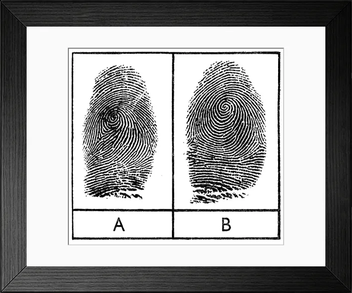 Framed Print : Fingerprints of identical twins, 1956 Framed Print : Fingerprints of identical twins, 1956