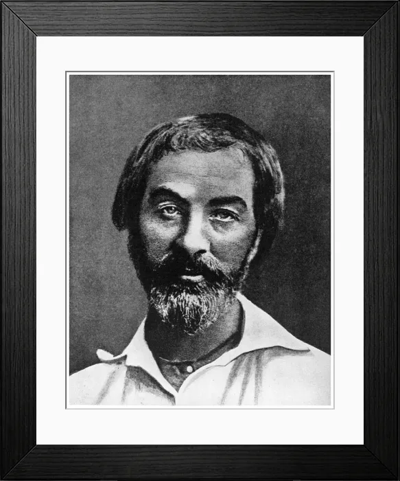 Framed Print : Walt Whitman, American poet, 19th century (1956) Framed Print : Walt Whitman, American poet, 19th century (1956)