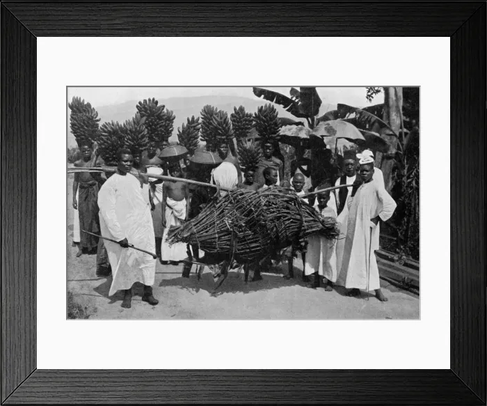 Framed Print : Marriage custom, Uganda, 1920. Artist: CW Hattersley Framed Print : Marriage custom, Uganda, 1920. Artist: CW Hattersley