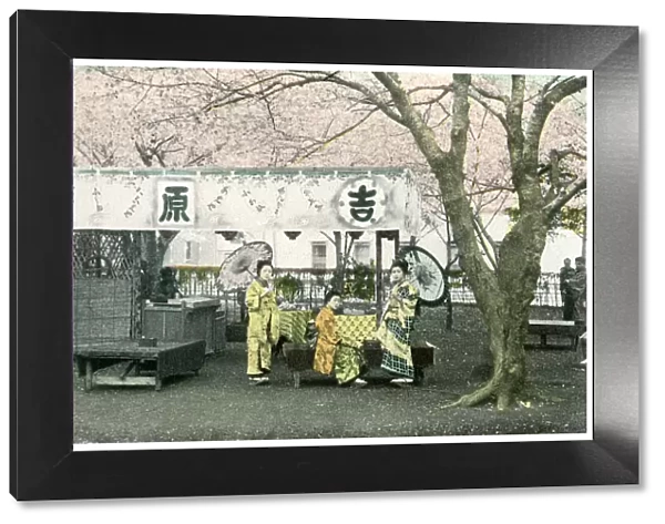 Lunch stand in a public park, Japan, 1904
