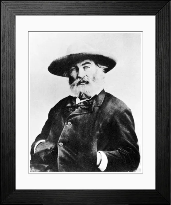 Framed Print : Walt Whitman, American poet, c1866 (1955) Framed Print : Walt Whitman, American poet, c1866 (1955)