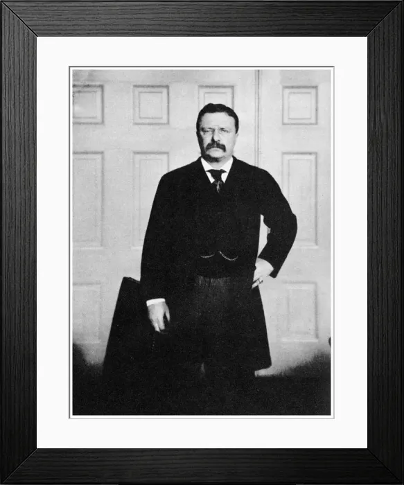 Framed Print : Theodore Roosevelt, 26th President of the United States, c1900s (1955) Framed Print : Theodore Roosevelt, 26th President of the United States, c1900s (1955)