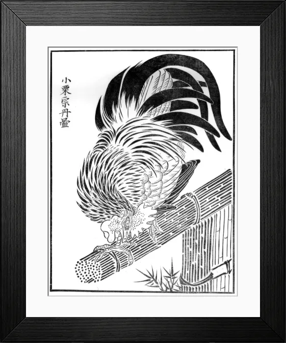 Framed Print : Cock, 15th century (1886) Framed Print : Cock, 15th century (1886)