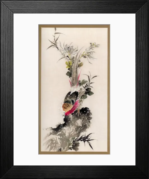Framed Print : Pheasant, 1832 (1886). Artist: Witherby & Co Framed Print : Pheasant, 1832 (1886). Artist: Witherby & Co