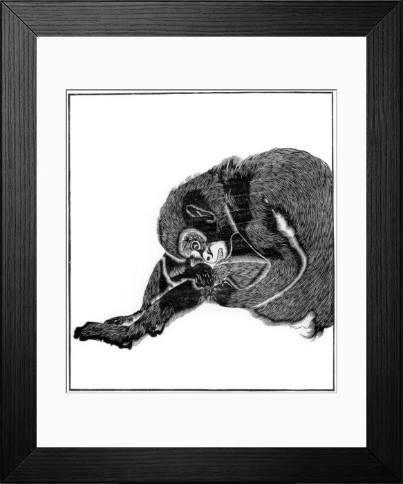 Framed Print : Monkey, 1766 (1886) Framed Print : Monkey, 1766 (1886)