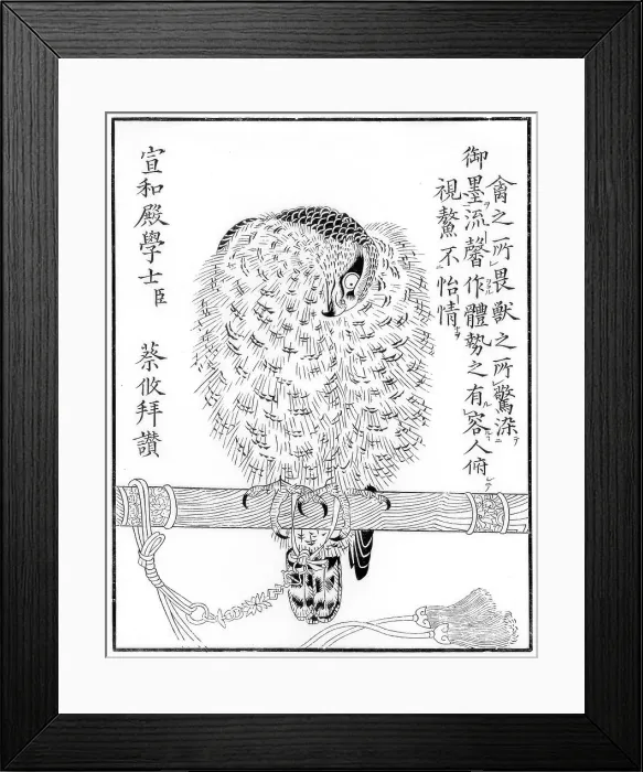 Framed Print : Falcon, 1886 Framed Print : Falcon, 1886