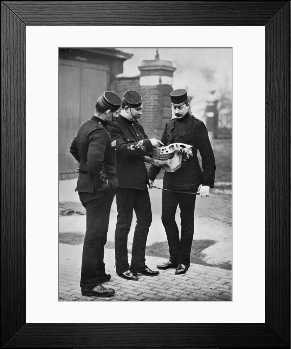 Framed Print : A veterinary demonstration, 1st Life Guards, 1896. Artist: Gregory & Co