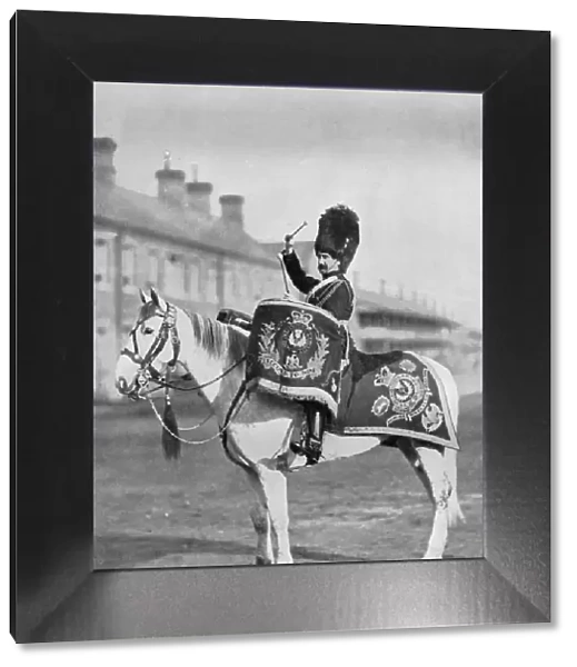 Plum Duff, the drum-horse of the Royal Scots Greys, 1896. Artist: Gregory & Co