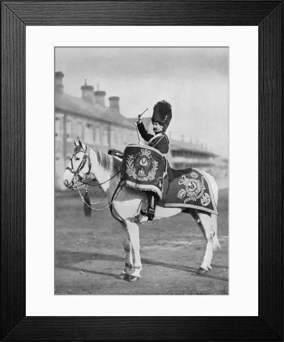 Framed Print : Plum Duff, the drum-horse of the Royal Scots Greys, 1896. Artist: Gregory & Co Framed Print : Plum Duff, the drum-horse of the Royal Scots Greys, 1896. Artist: Gregory & Co