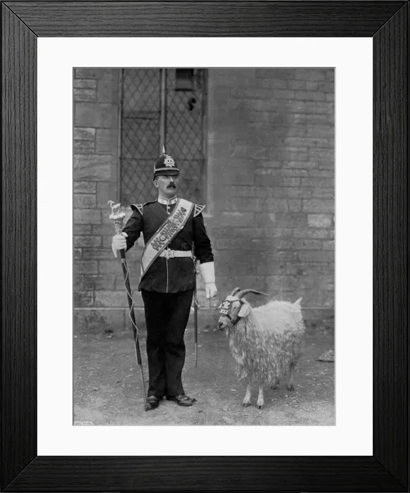 Framed Print : The Drum Major and goat of the 1st Battalion the Welch Regiment, 1896. Artist: WM Crockett Framed Print : The Drum Major and goat of the 1st Battalion the Welch Regiment, 1896. Artist: WM Crockett