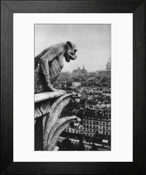 Framed Print : Stone demon, Notre Dame, Paris, France, c1930s. Artist: Donald McLeish Framed Print : Stone demon, Notre Dame, Paris, France, c1930s. Artist: Donald McLeish