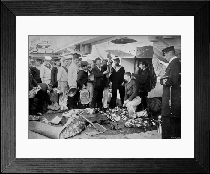 Framed Print : Serving out a days fresh meat ration on board HMS Talbot, 1896. Artist: WM Crockett Framed Print : Serving out a days fresh meat ration on board HMS Talbot, 1896. Artist: WM Crockett
