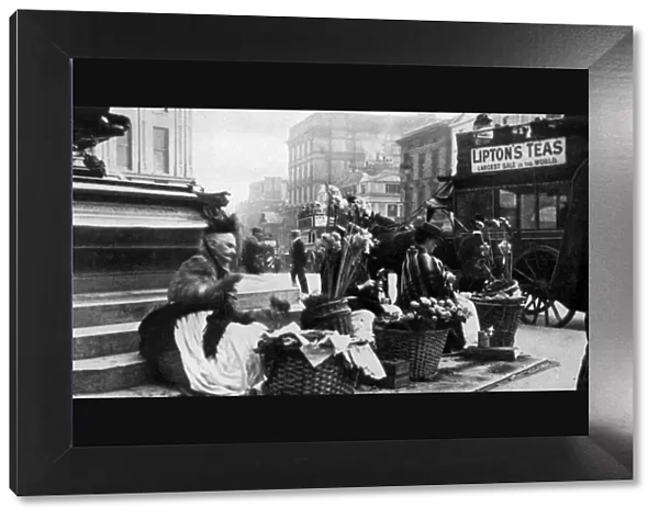 Flower sellers at Piccadilly Circus, London, 1901 (1951)