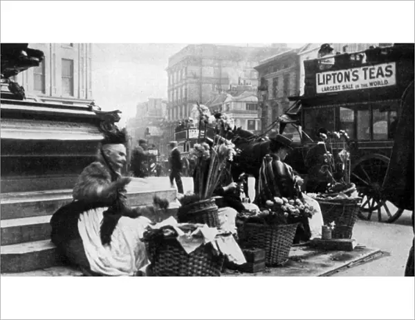 Flower sellers at Piccadilly Circus, London, 1901 (1951)