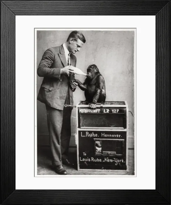 Framed Print : An unusual passenger, Zeppelin LZ 127 Graf Zeppelin, 1933 Framed Print : An unusual passenger, Zeppelin LZ 127 Graf Zeppelin, 1933