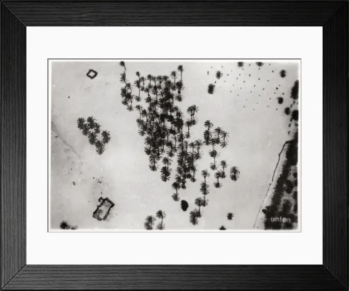 Framed Print : Aerial view of palm shadows in the Arabian desert, from a Zeppelin, 1931 (1933) Framed Print : Aerial view of palm shadows in the Arabian desert, from a Zeppelin, 1931 (1933)