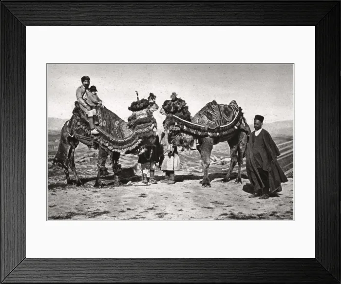 Framed Print : Pilgrims with their camels on their way to Karbala, Iraq, 1925. Artist: A Kerim Framed Print : Pilgrims with their camels on their way to Karbala, Iraq, 1925. Artist: A Kerim