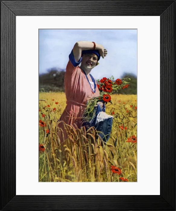 Framed Print : The English Rose, c1922. Artist: Horace Walter Nicholls Framed Print : The English Rose, c1922. Artist: Horace Walter Nicholls