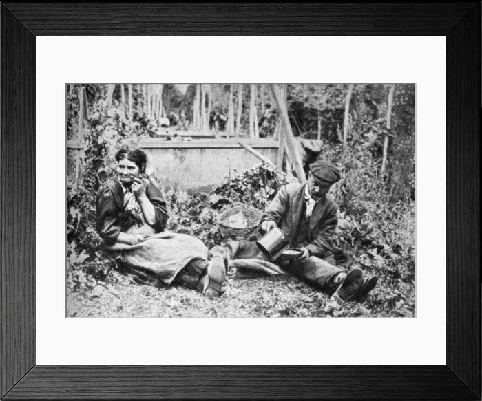 Framed Print : Hop pickers, Kentish hop fields, c1922 Framed Print : Hop pickers, Kentish hop fields, c1922