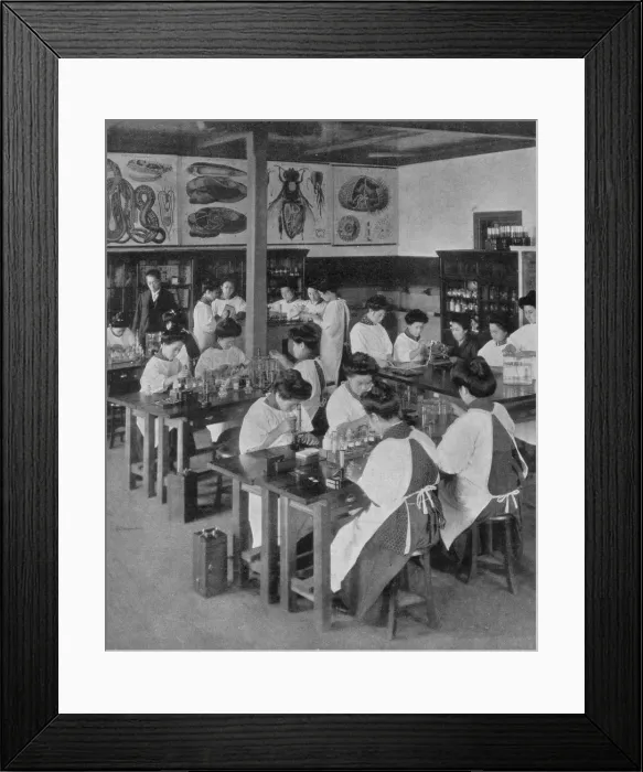 Framed Print : The higher education of women in Japan, 1910 Framed Print : The higher education of women in Japan, 1910