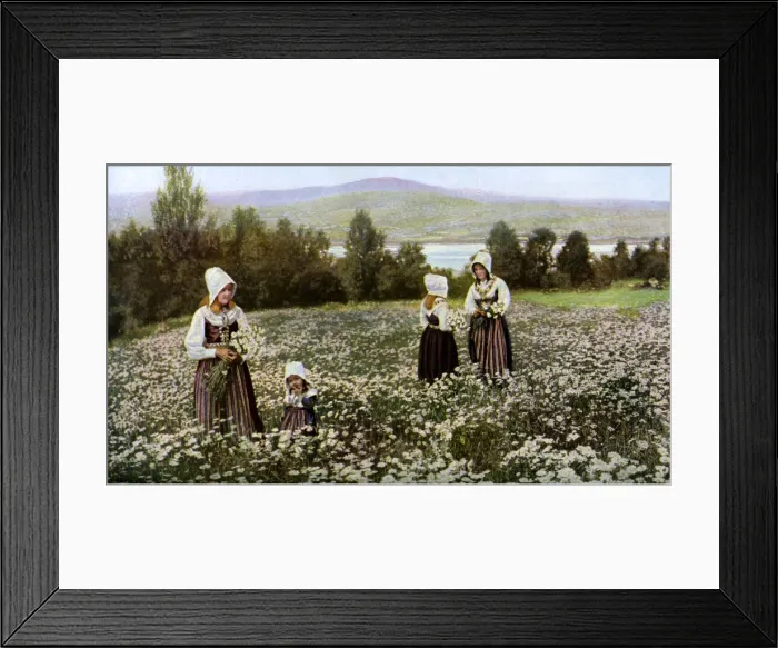 Framed Print : Picking flowers in a meadow near Leksand, Sweden, c1923 Framed Print : Picking flowers in a meadow near Leksand, Sweden, c1923