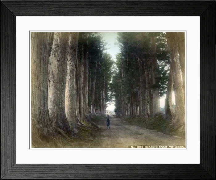 Framed Print : Imaichi Road at Nikko, Japan, early 20th century(?) Framed Print : Imaichi Road at Nikko, Japan, early 20th century(?)