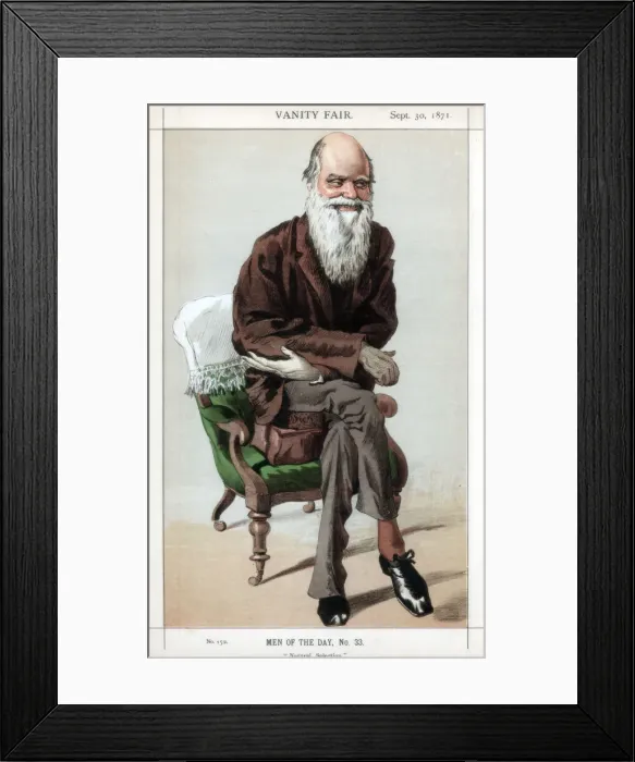 Framed Print : Natural Selection, 1871. Artist: Coide Framed Print : Natural Selection, 1871. Artist: Coide