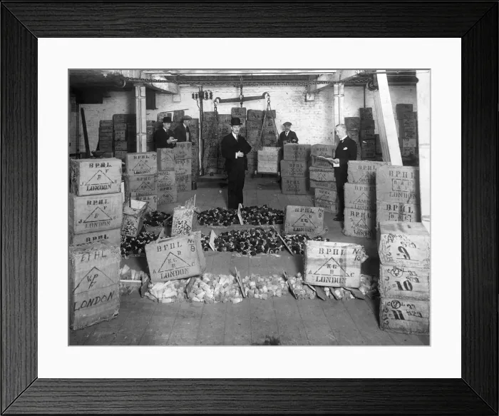 Framed Print : Coconut production, 20th century Framed Print : Coconut production, 20th century