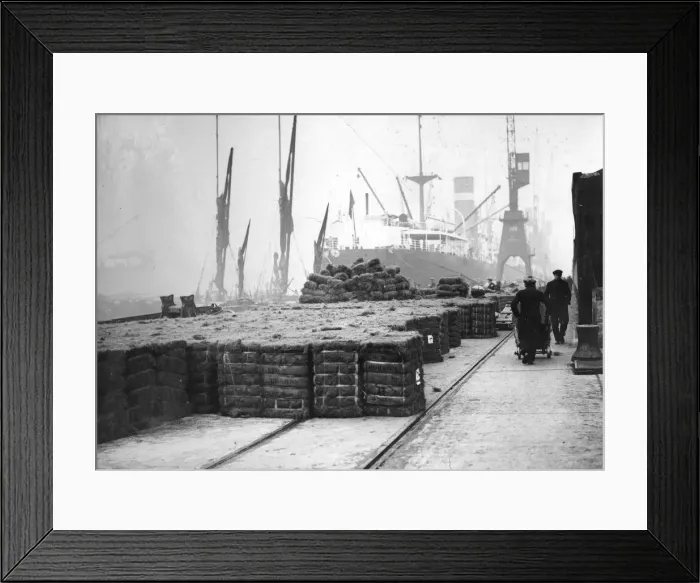 Framed Print : Coconut production, 20th century Framed Print : Coconut production, 20th century