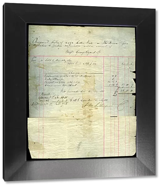 Coconut sales receipt, Barbados to London, 1881