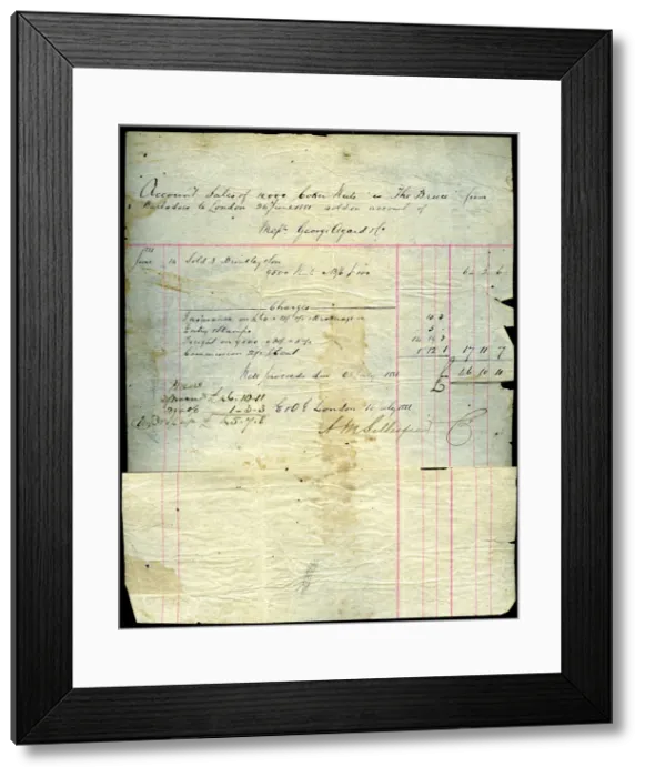 Framed Print : Coconut sales receipt, Barbados to London, 1881 Framed Print : Coconut sales receipt, Barbados to London, 1881