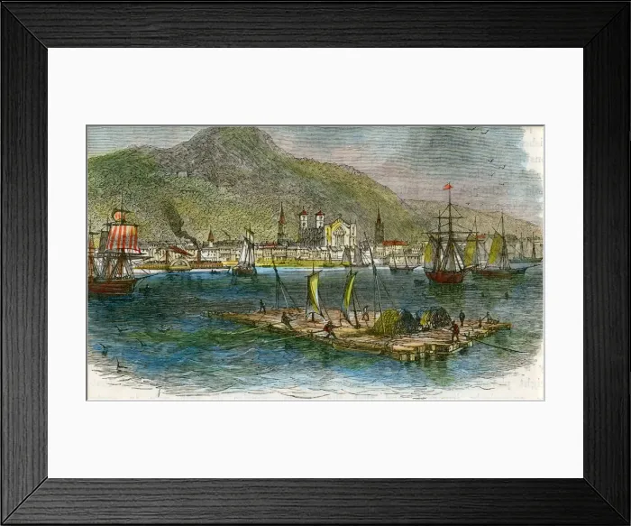 Framed Print : Montreal from the St Lawrence River, Quebec, Canada, c1880