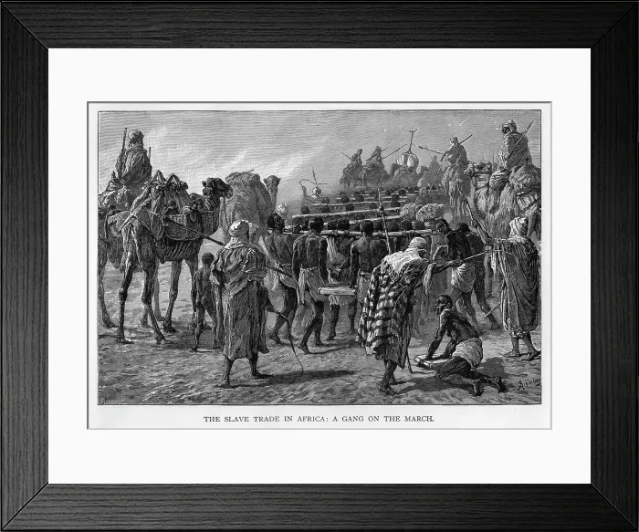 Framed Print : The slave trade in Africa: a gang on the march, c1875 Framed Print : The slave trade in Africa: a gang on the march, c1875
