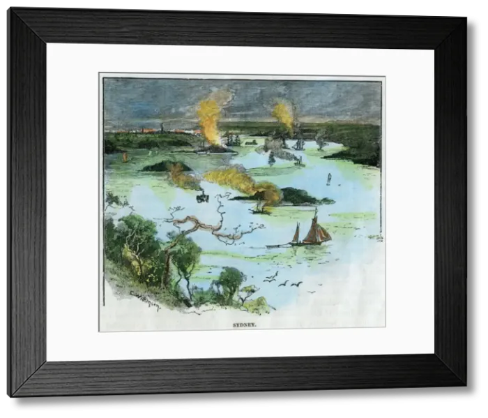 Framed Print : Sydney, New South Wales, Australia, c1885. Artist: C Wilkinson