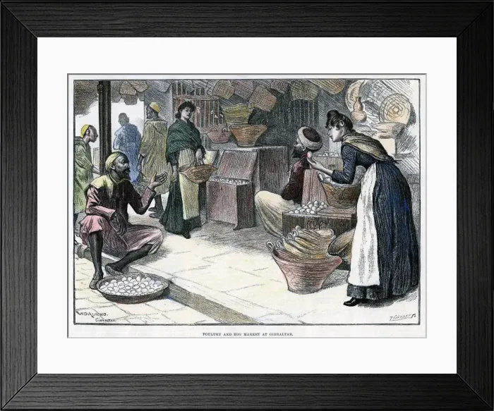 Framed Print : Poultry and egg market in Gibraltar, c1880. Artist: P Naumann Framed Print : Poultry and egg market in Gibraltar, c1880. Artist: P Naumann