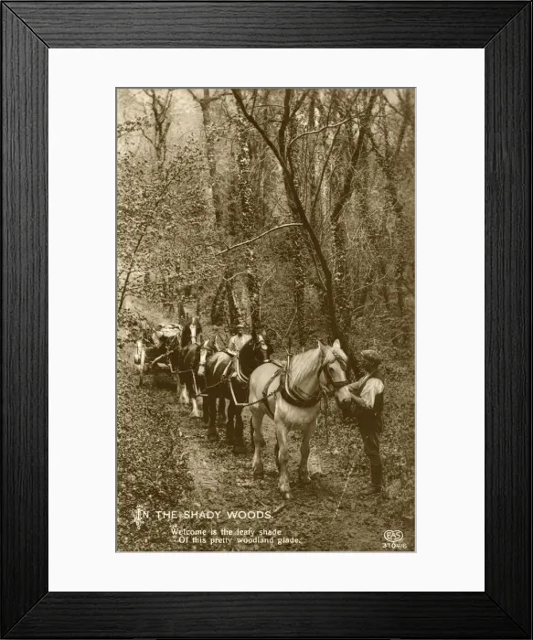 Framed Print : In the Shady Woods, late 19th or early 20th century Framed Print : In the Shady Woods, late 19th or early 20th century