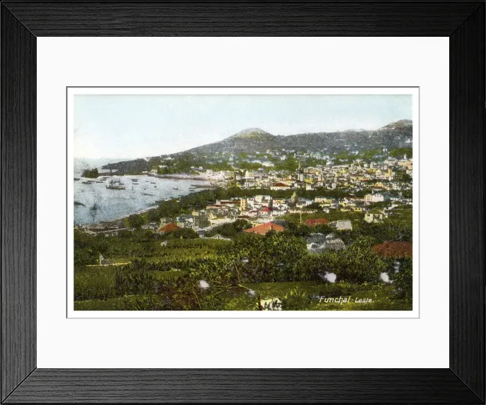 Framed Print : Funchal, Madeira, early 20th century(?) Framed Print : Funchal, Madeira, early 20th century(?)