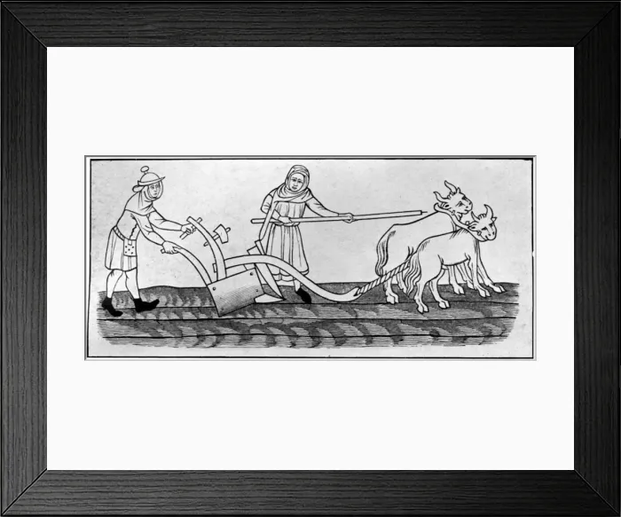 Framed Print : Ploughing, 14th century, (1910) Framed Print : Ploughing, 14th century, (1910)