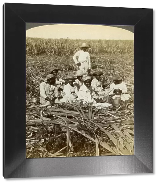 On La Union sugar plantation, San Luis, Santiago Province, Cuba, 1899. Artist: Underwood & Underwood