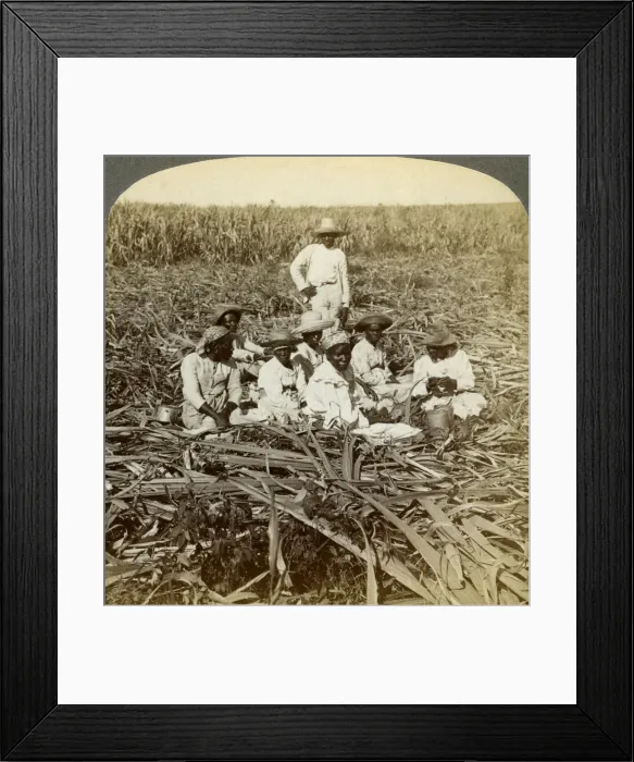 Framed Print : On La Union sugar plantation, San Luis, Santiago Province, Cuba, 1899. Artist: Underwood & Underwood Framed Print : On La Union sugar plantation, San Luis, Santiago Province, Cuba, 1899. Artist: Underwood & Underwood