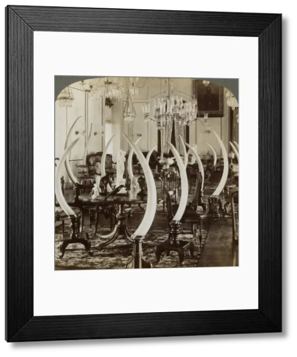 Framed Print : Hall of Tusks, in the home of Lady de Soysa, Bambalapitiya, Colombo, Ceylon, 1903. Artist: Underwood & Underwood Framed Print : Hall of Tusks, in the home of Lady de Soysa, Bambalapitiya, Colombo, Ceylon, 1903. Artist: Underwood & Underwood