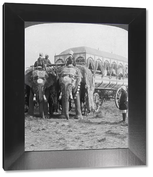 Richly adorned elephants and carriage of the Maharaja of Rewa at the Delhi Durbar, India, 1903. Artist: Underwood & Underwood