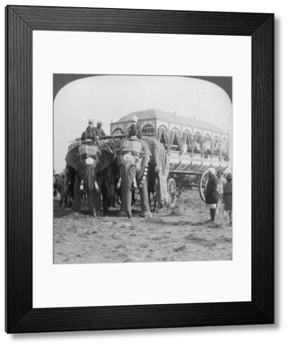 Framed Print : Richly adorned elephants and carriage of the Maharaja of Rewa at the Delhi Durbar, India, 1903. Artist: Underwood & Underwood Framed Print : Richly adorned elephants and carriage of the Maharaja of Rewa at the Delhi Durbar, India, 1903. Artist: Underwood & Underwood