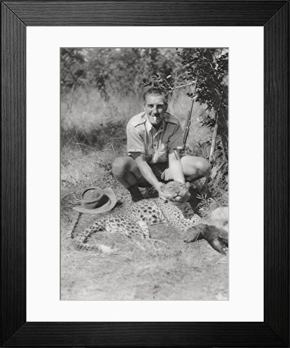 Framed Print : Chaplin Court Treatts leopard, Abercorn to Tukuyu, Tanganyika, 1925 (1927). Artist: Thomas A Glover Framed Print : Chaplin Court Treatts leopard, Abercorn to Tukuyu, Tanganyika, 1925 (1927). Artist: Thomas A Glover