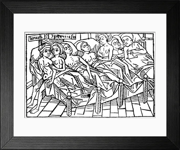 Framed Print : Lynceus and Hypermnestra, 1479 (1964) Framed Print : Lynceus and Hypermnestra, 1479 (1964)