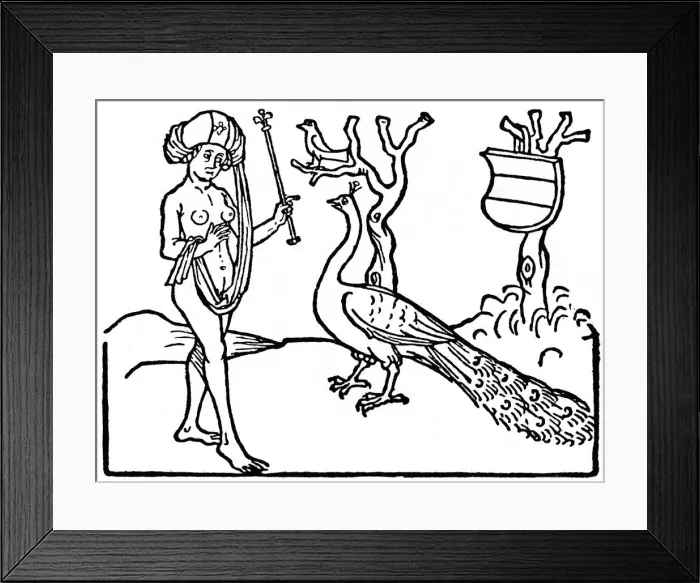 Framed Print : Woman and peacock, 1475 (1964) Framed Print : Woman and peacock, 1475 (1964)