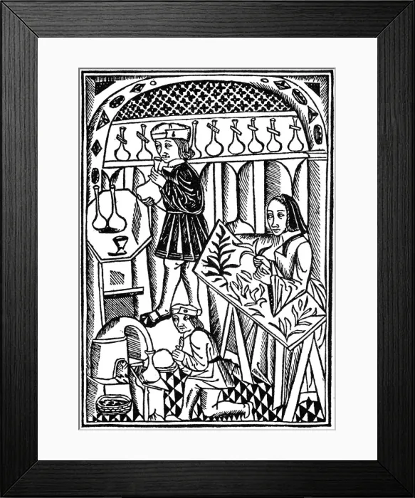 Framed Print : Illustration from Le Proprietaire des Choses, 1500 (1964) Framed Print : Illustration from Le Proprietaire des Choses, 1500 (1964)