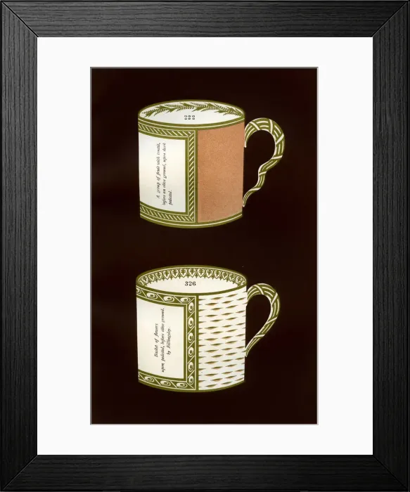 Framed Print : Derby patterns, 1876. Artist: Hall & England Framed Print : Derby patterns, 1876. Artist: Hall & England