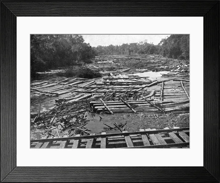 Framed Print : Cedar logs on the Tebicuary-Guazu River floating by the railway bridge, Paraguay, 1911 Framed Print : Cedar logs on the Tebicuary-Guazu River floating by the railway bridge, Paraguay, 1911